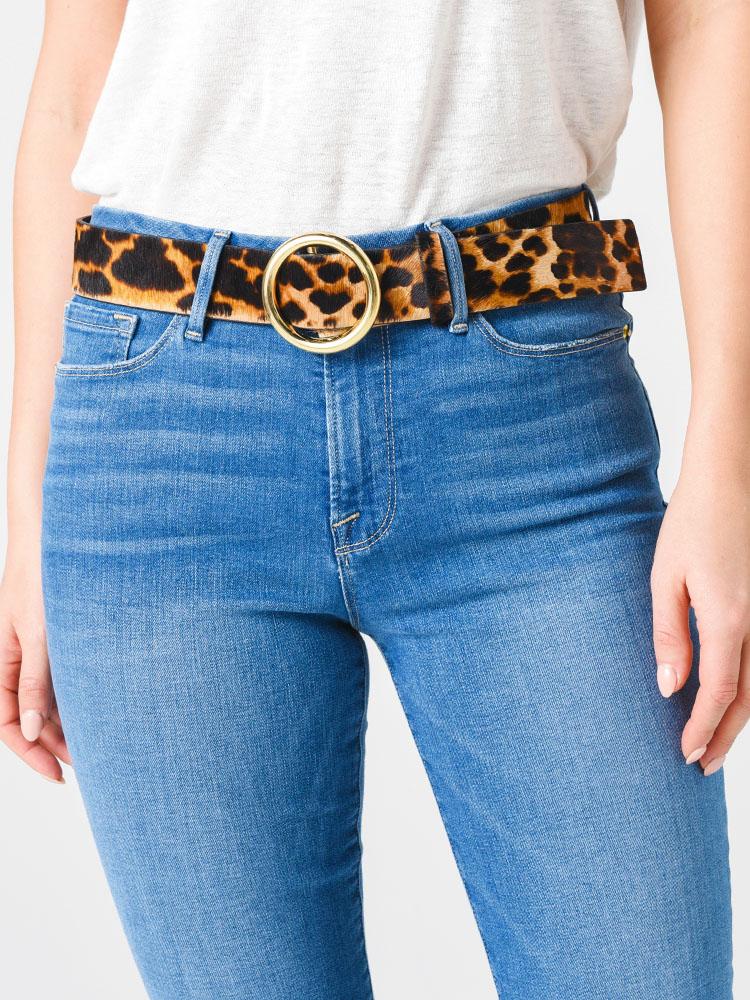 Frame Women's O Ring Belt - Saint Bernard