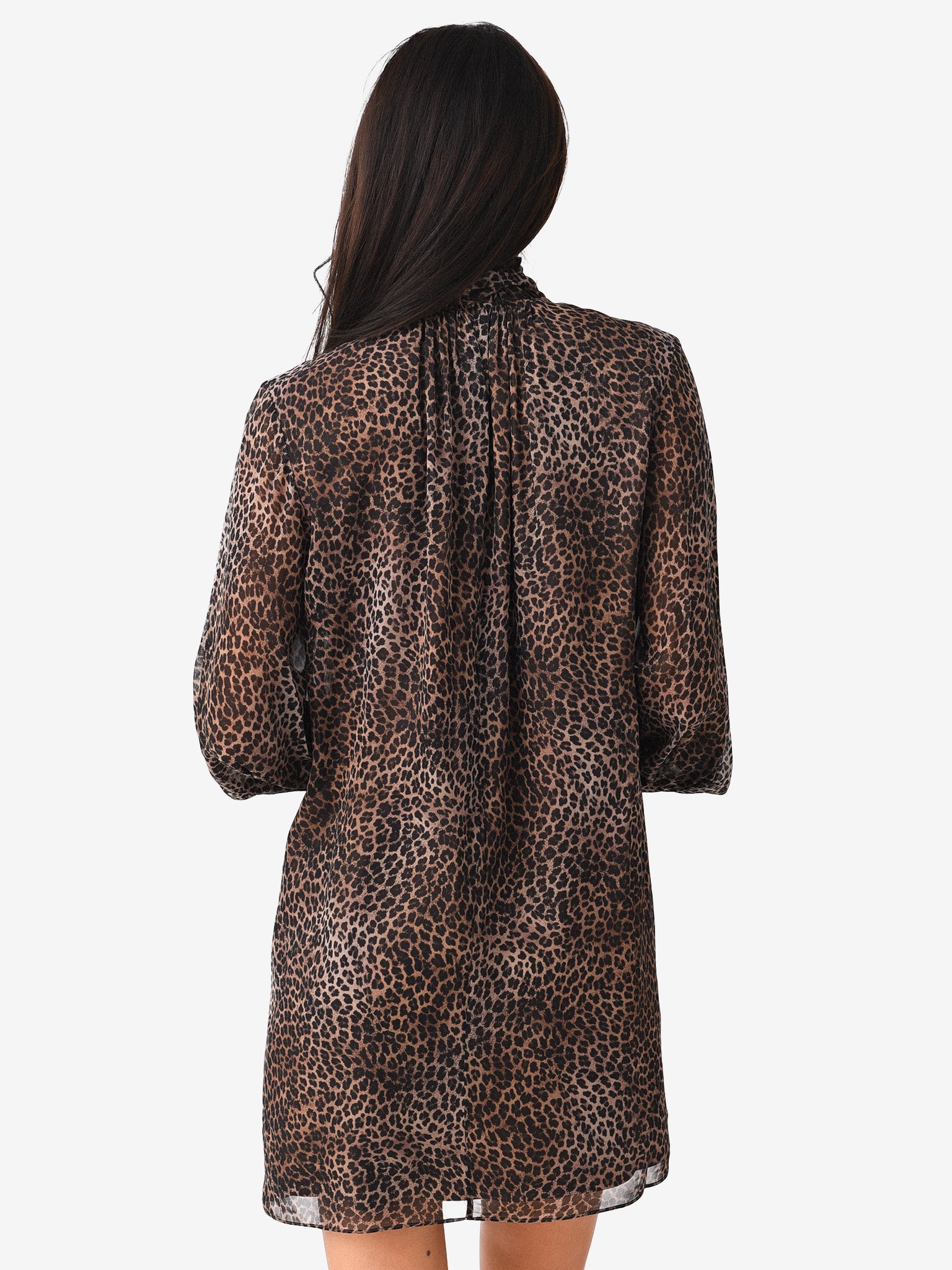 LWWD0647xLEOMULTI-alt3