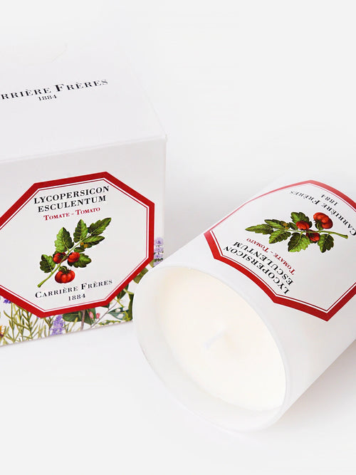 Carriere Freres Tomato Candle