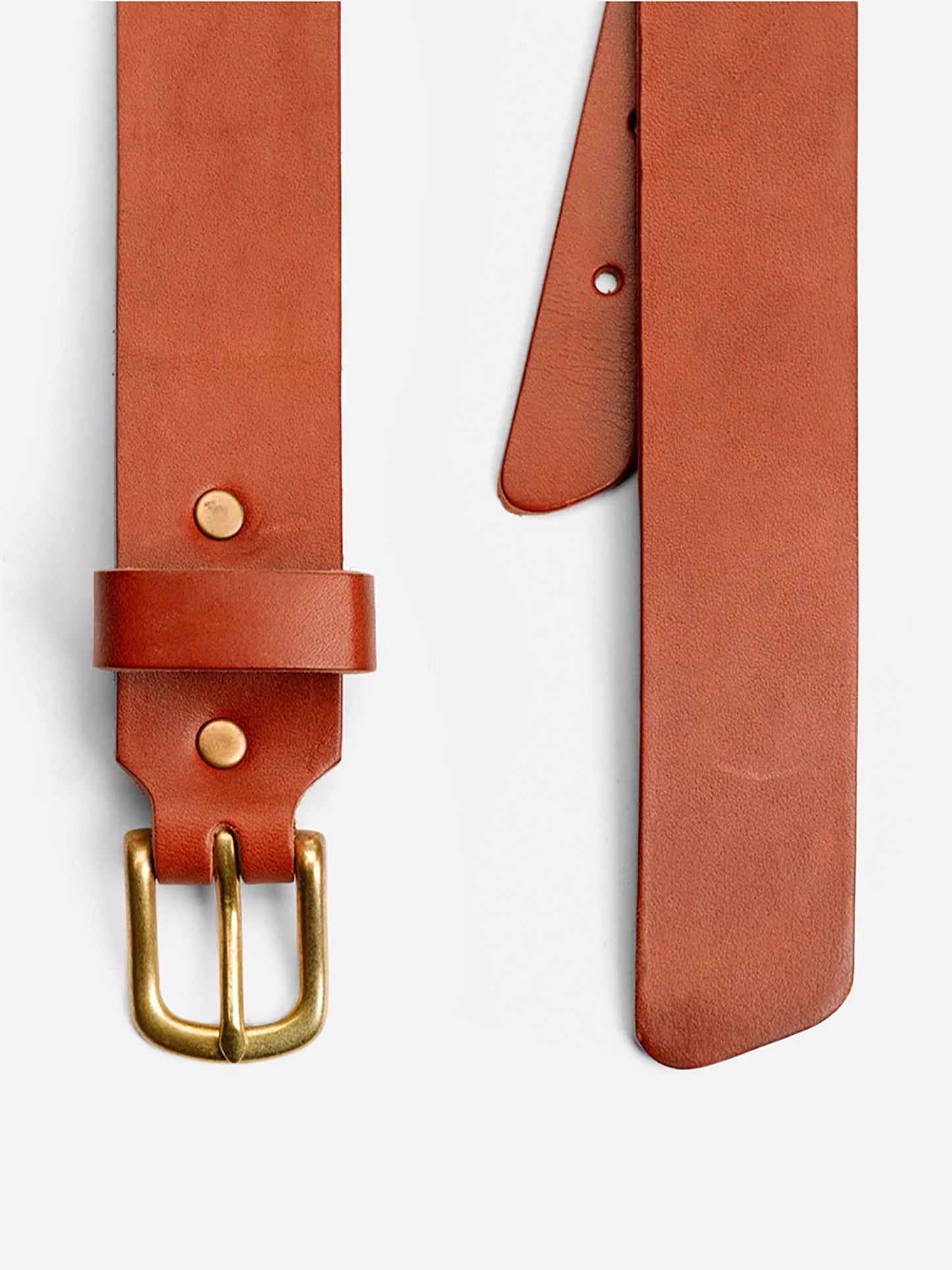 Billykirk No. 117 Mechanic's Belt - Saint Bernard