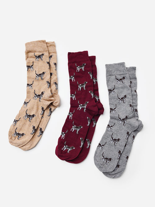 Barbour Pointer Dog Socks
