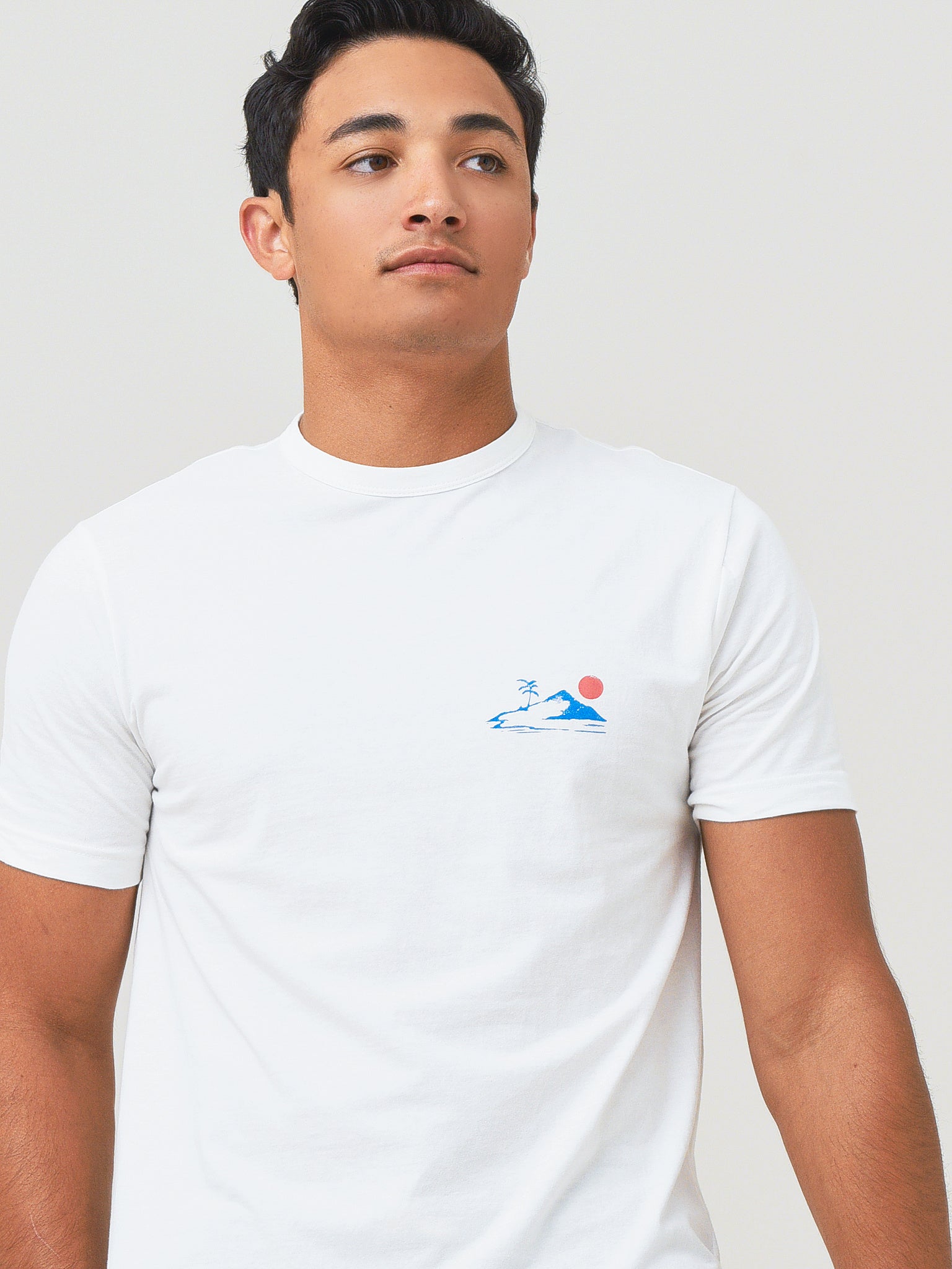 Faherty Brand Men's Graphic Sun And Sea Tee - Saint Bernard