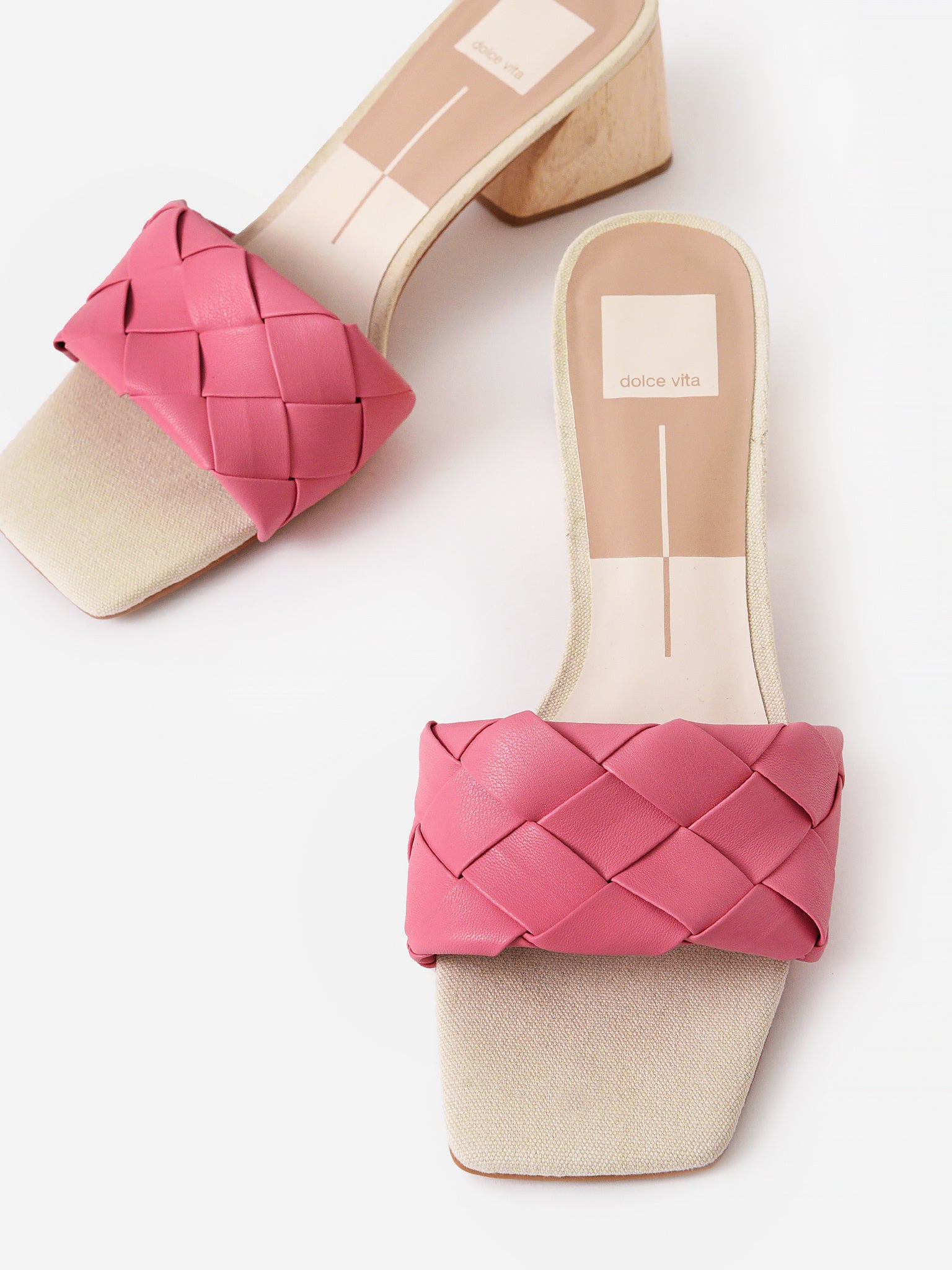 MOLYxPETALPINKSTELLA-alt3