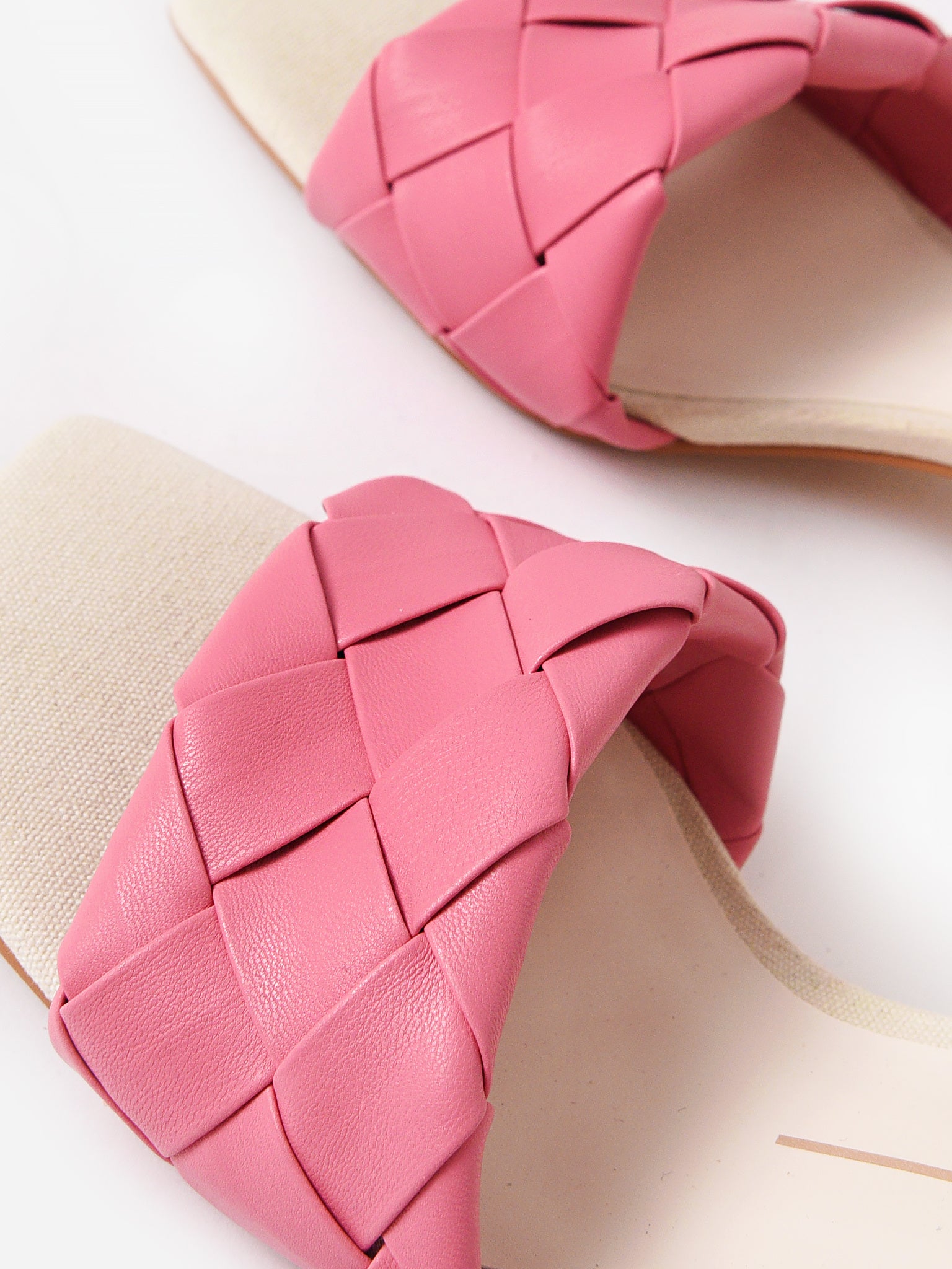 MOLYxPETALPINKSTELLA-alt5