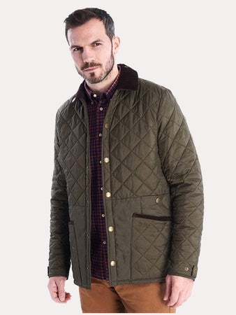 MQU1109-OLIVE_450x450.jpg?v=