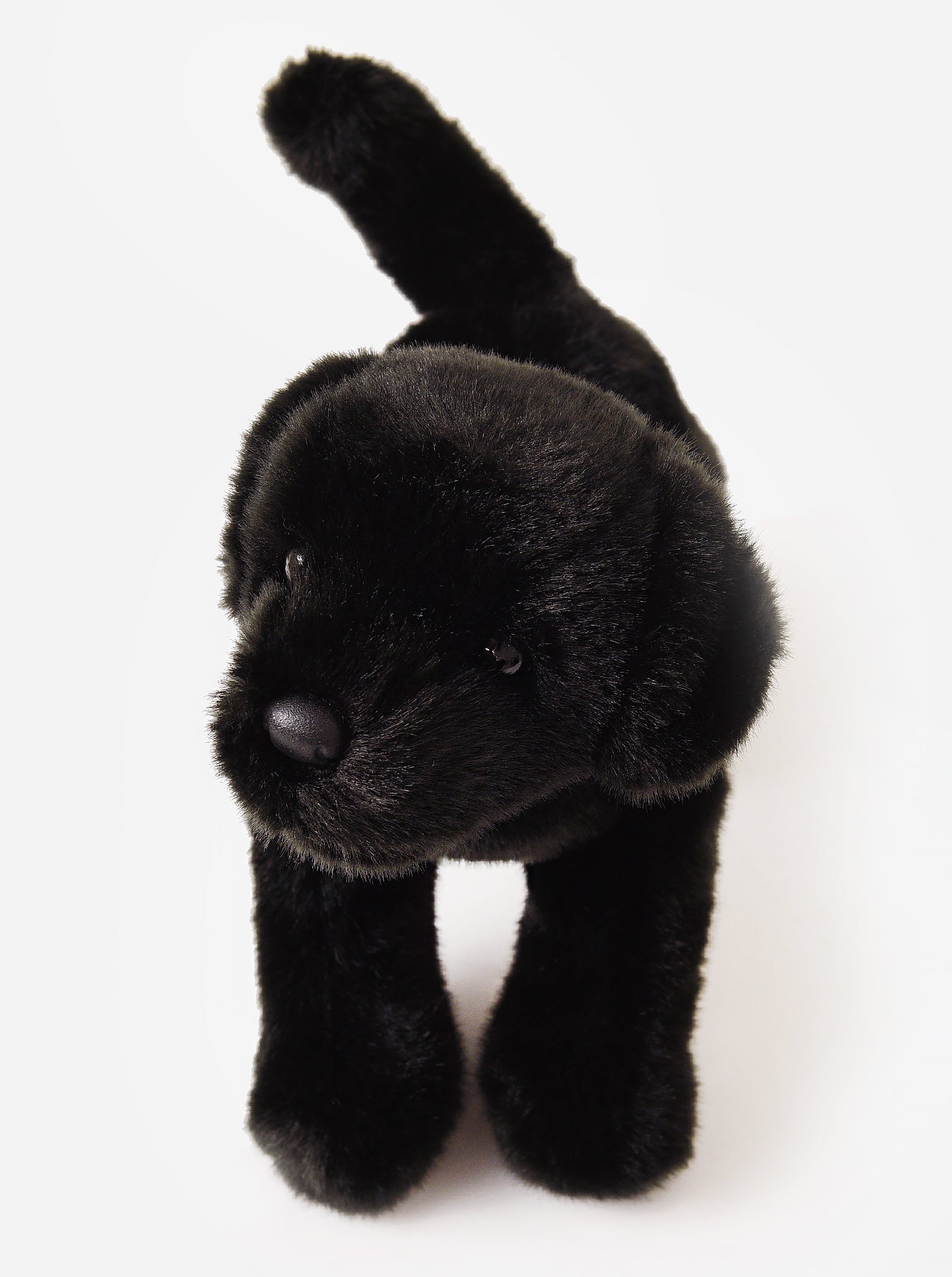 MRBIGSMALLxBLACK-alt1