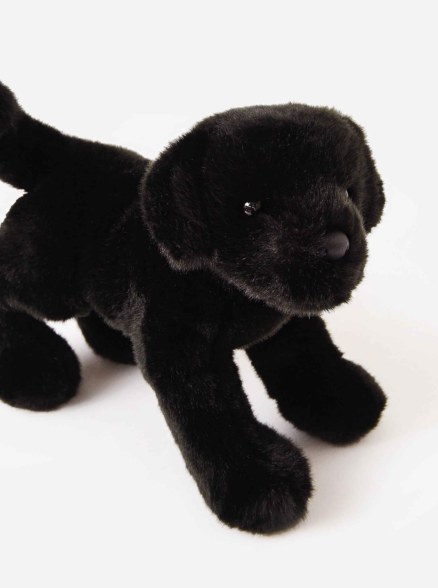 Saint Bernard Mr Big Small Plush - Saint Bernard