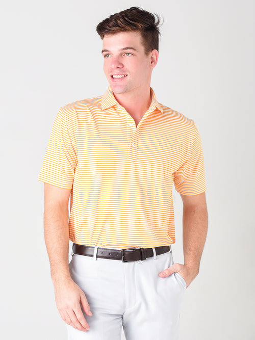 Saint Bernard Men's Jeff Stripe Performance Polo - Saint Bernard