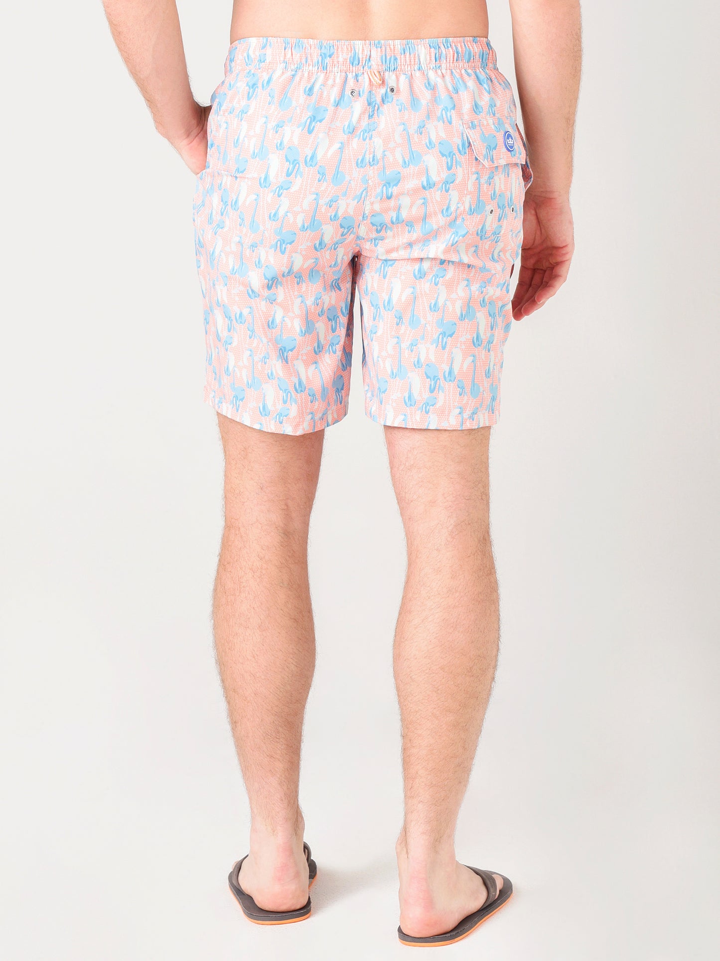 MS21P06xNECTARINE-alt3