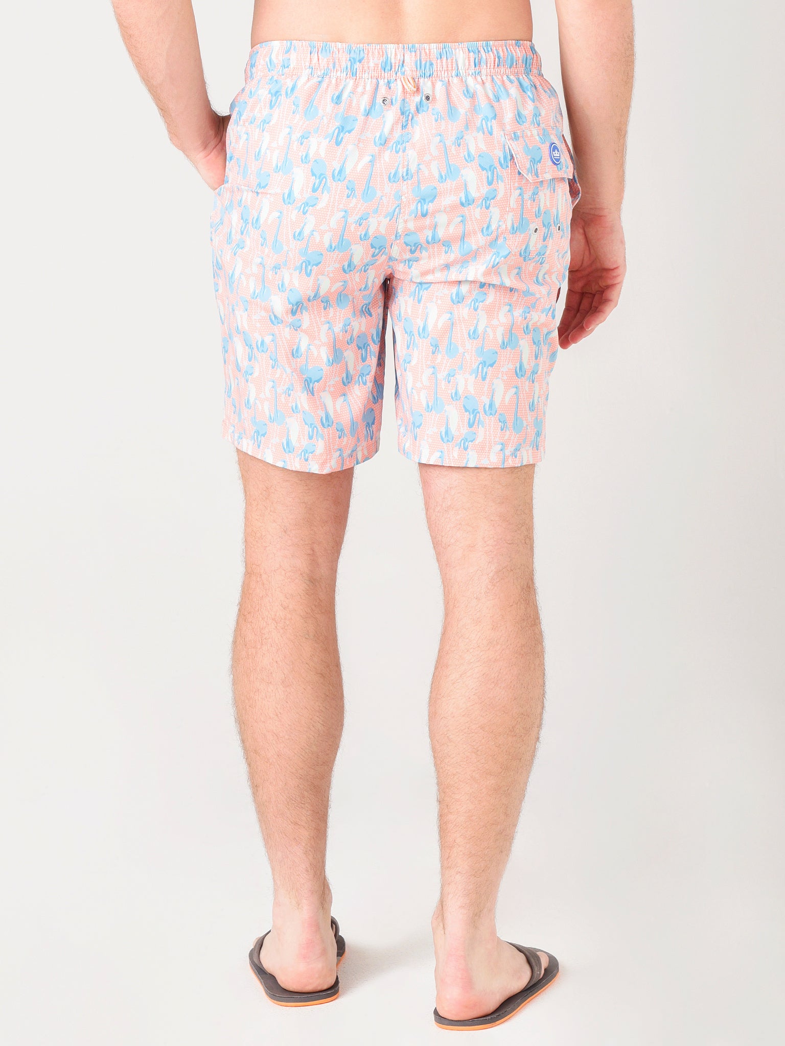 MS21P06xNECTARINE-alt3