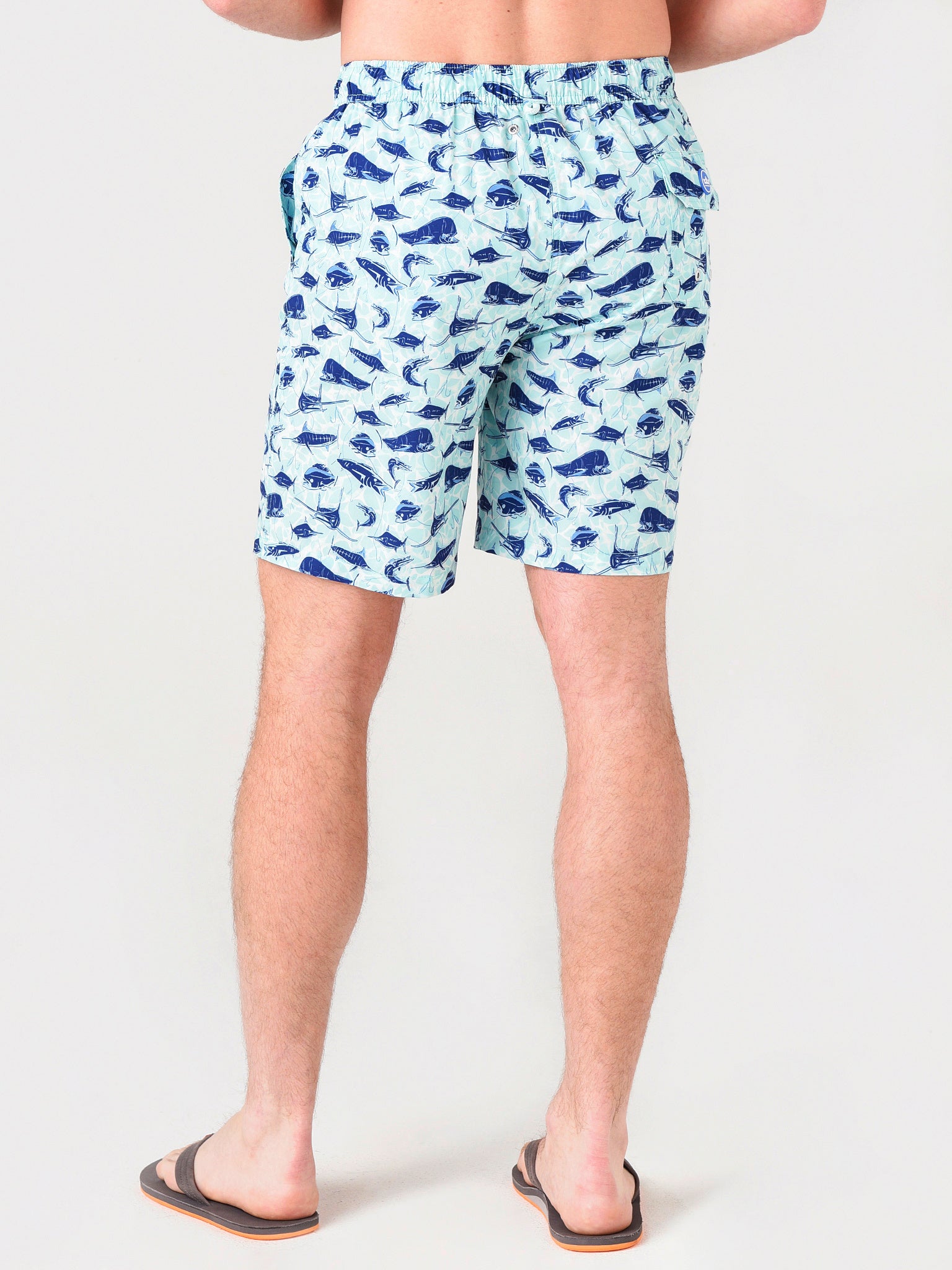 MS21P18xEBBTIDE-alt3