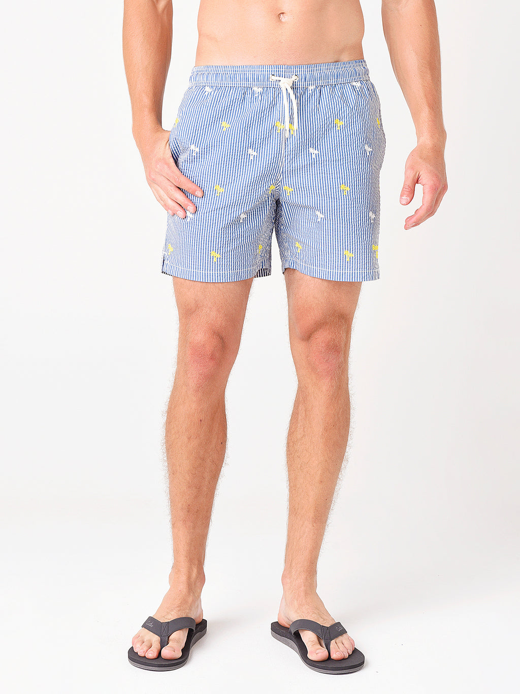 Barbour Men's Palm Stripe Swim Short - Saint Bernard
