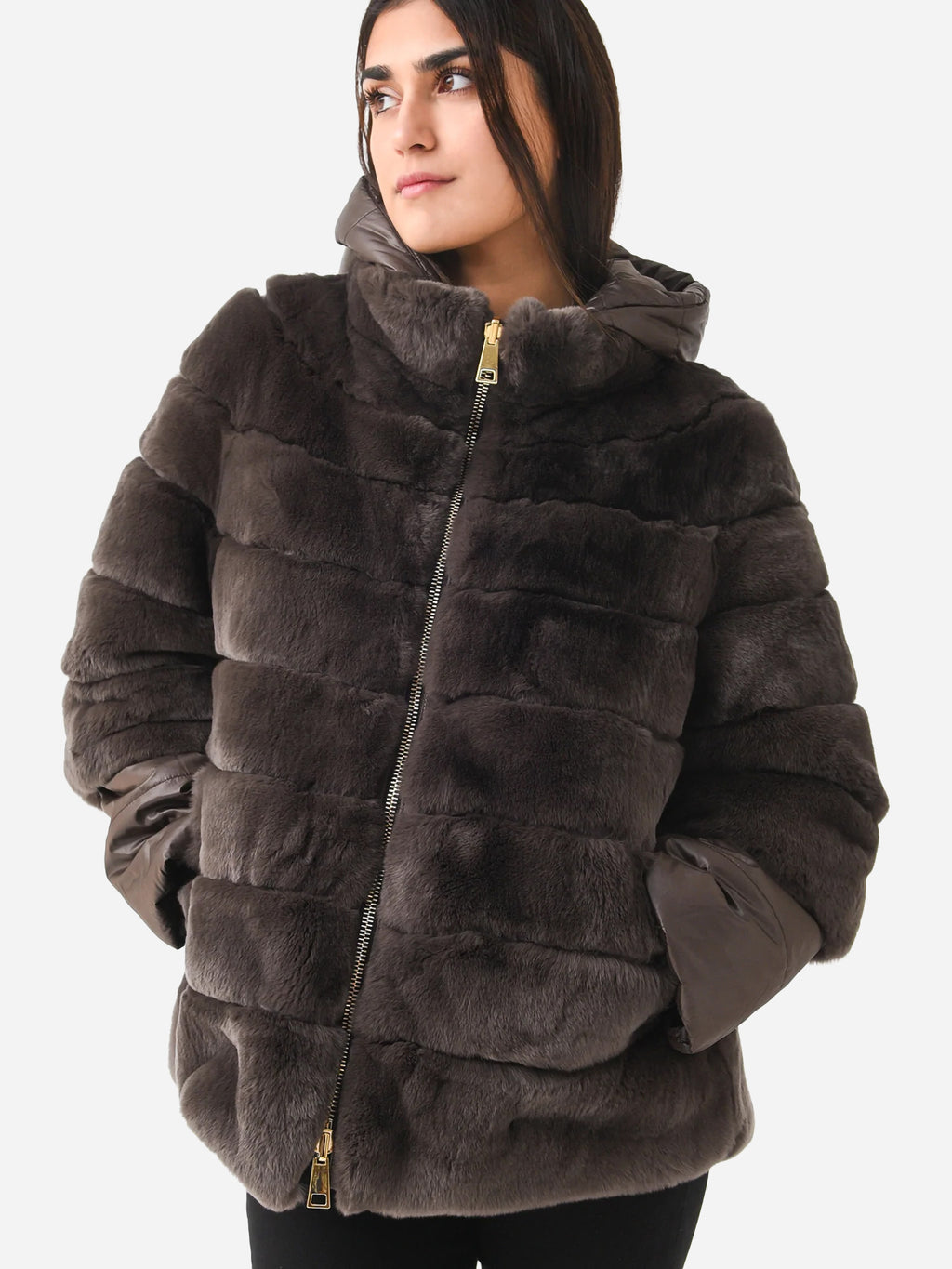 Suprema Women's Rex Jacket - Saint Bernard