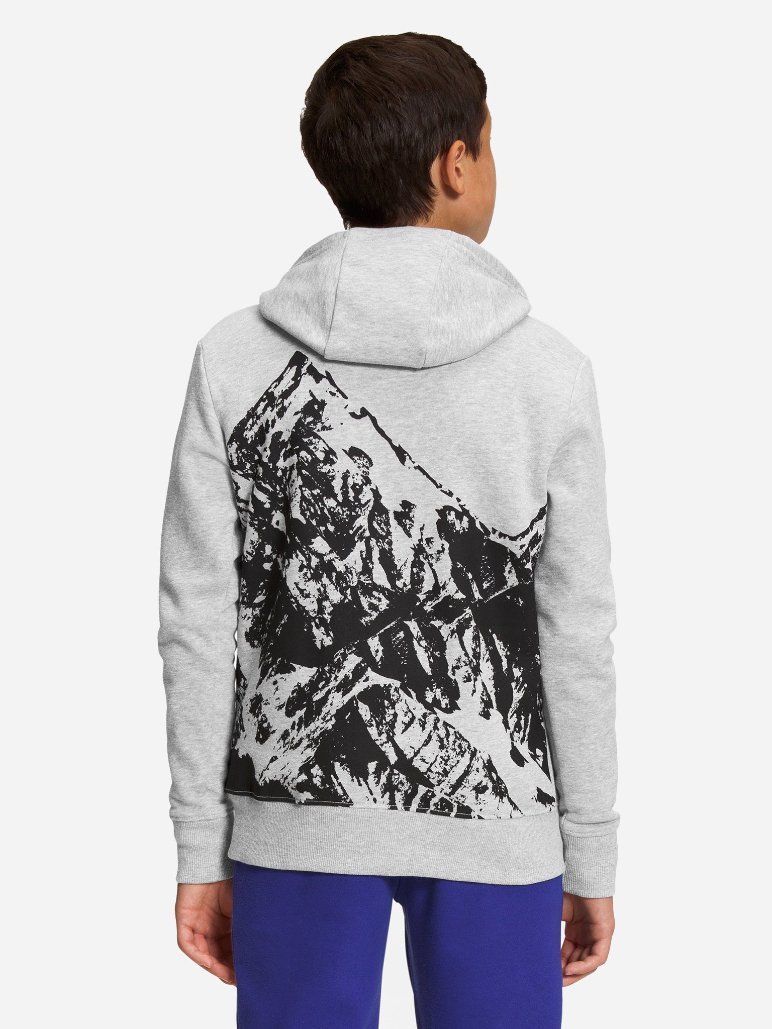 The North Face Boys’ Camp Fleece Pullover Hoodie - Saint Bernard