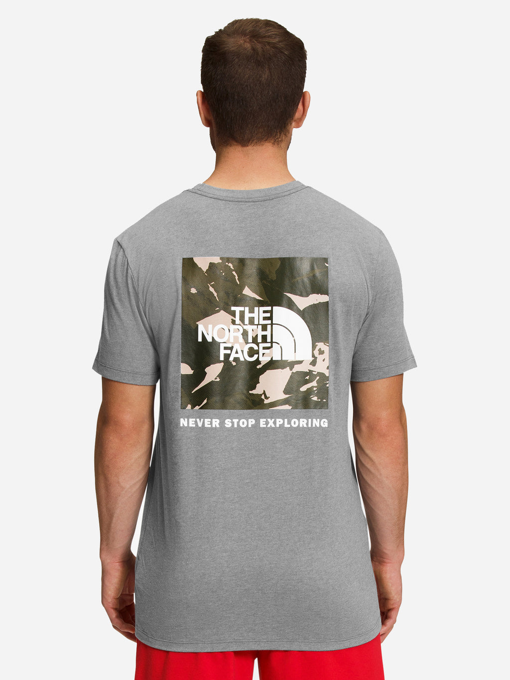 The North Face Men’s Short-Sleeve Printed Box NSE Tee - Saint Bernard