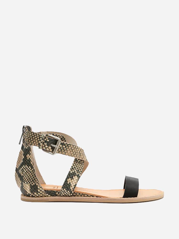 Dolce Vita Nolen Sandal - Saint Bernard
