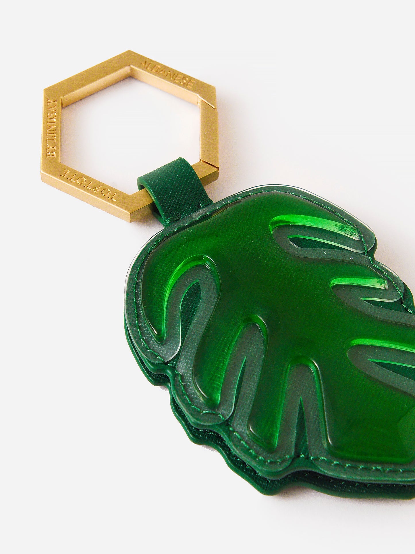 Lindsay Albanese The Palm Hat Holder - Saint Bernard