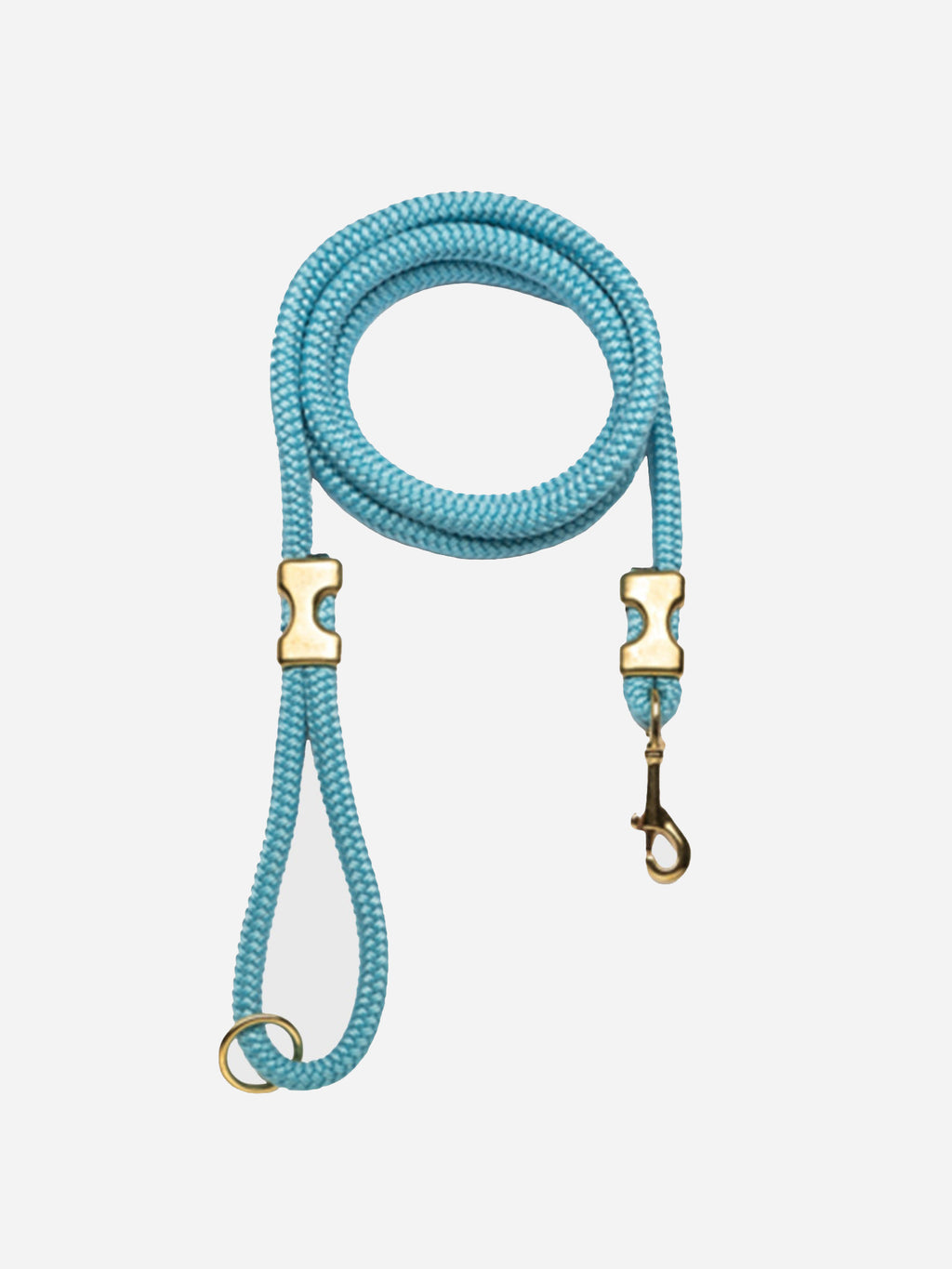 Paws Wild Rope Leash - Saint Bernard