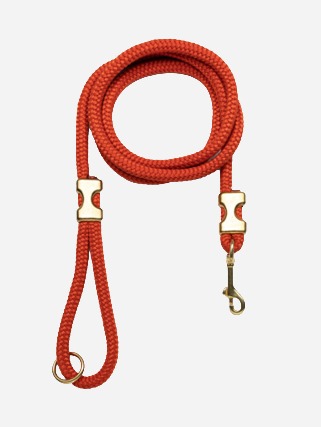 Paws Wild Rope Leash - Saint Bernard
