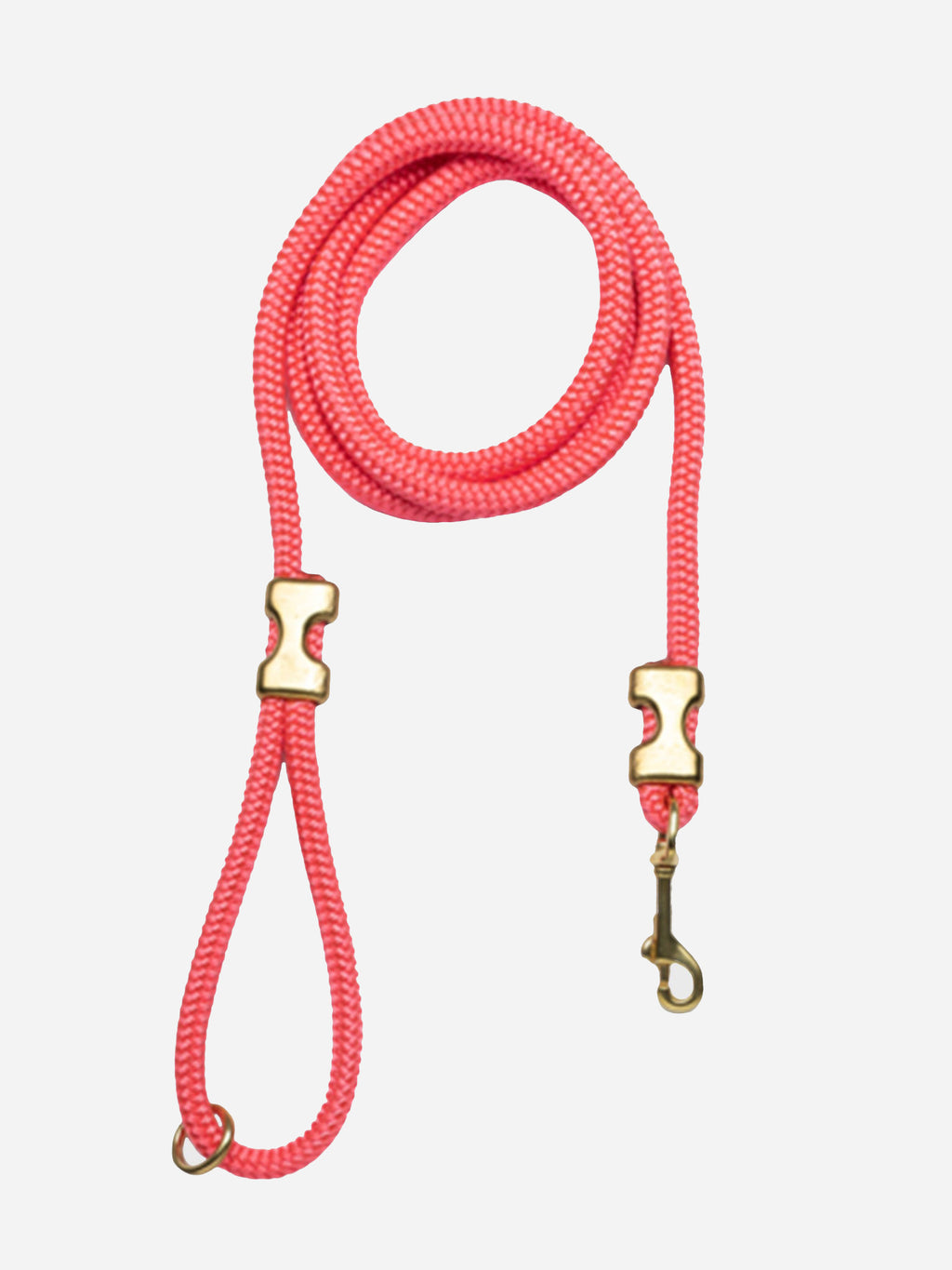 Paws Wild Rope Leash - Saint Bernard