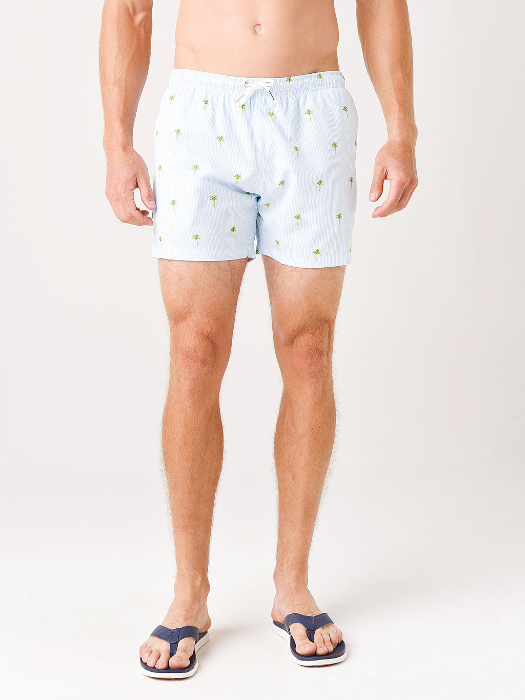Bermies Men's Palm Stripes Classics Swim Short - Saint Bernard