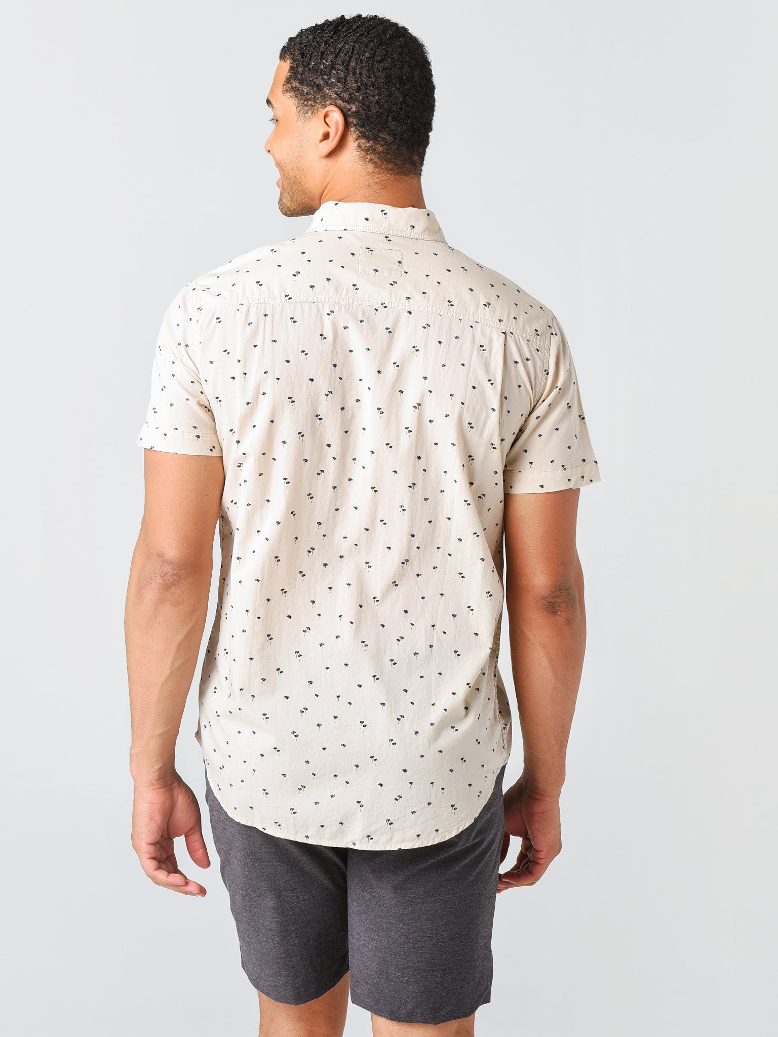 RM-736-902-1759xSMALLPALM-alt2