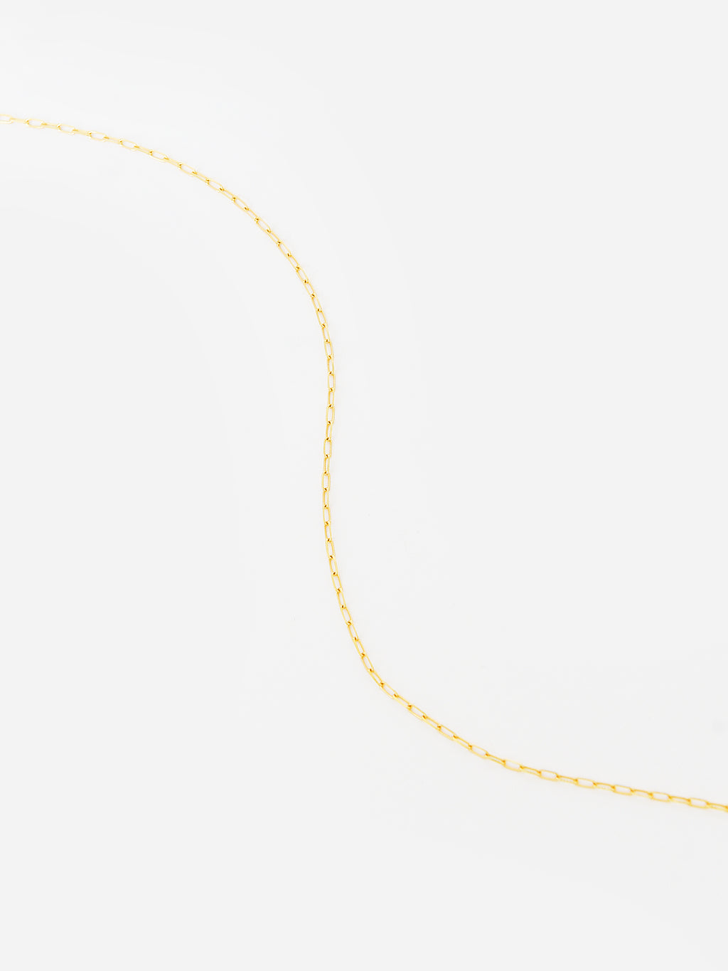 Francie B. Women's Baby Paper Clip Chain Necklace - Saint Bernard