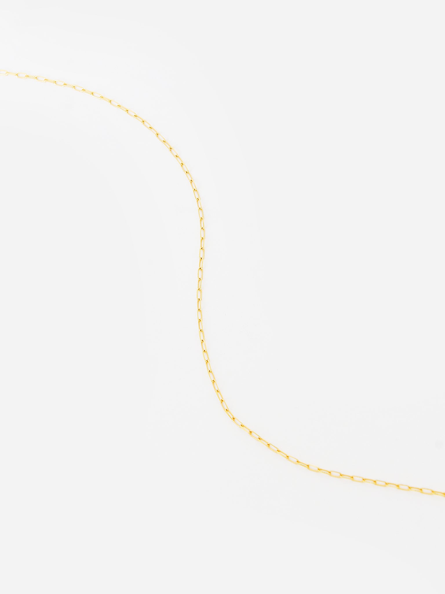 Francie B. Women's Baby Paper Clip Chain Necklace - Saint Bernard