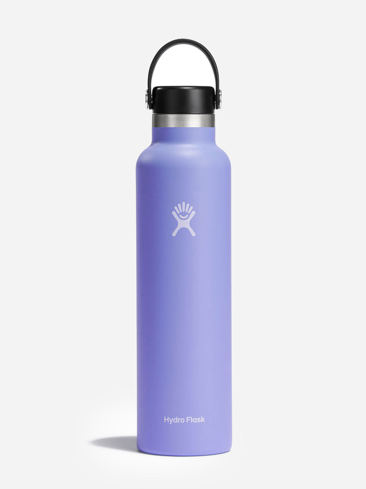 Hydroflask Standard Mouth 24oz Water Bottle - Saint Bernard