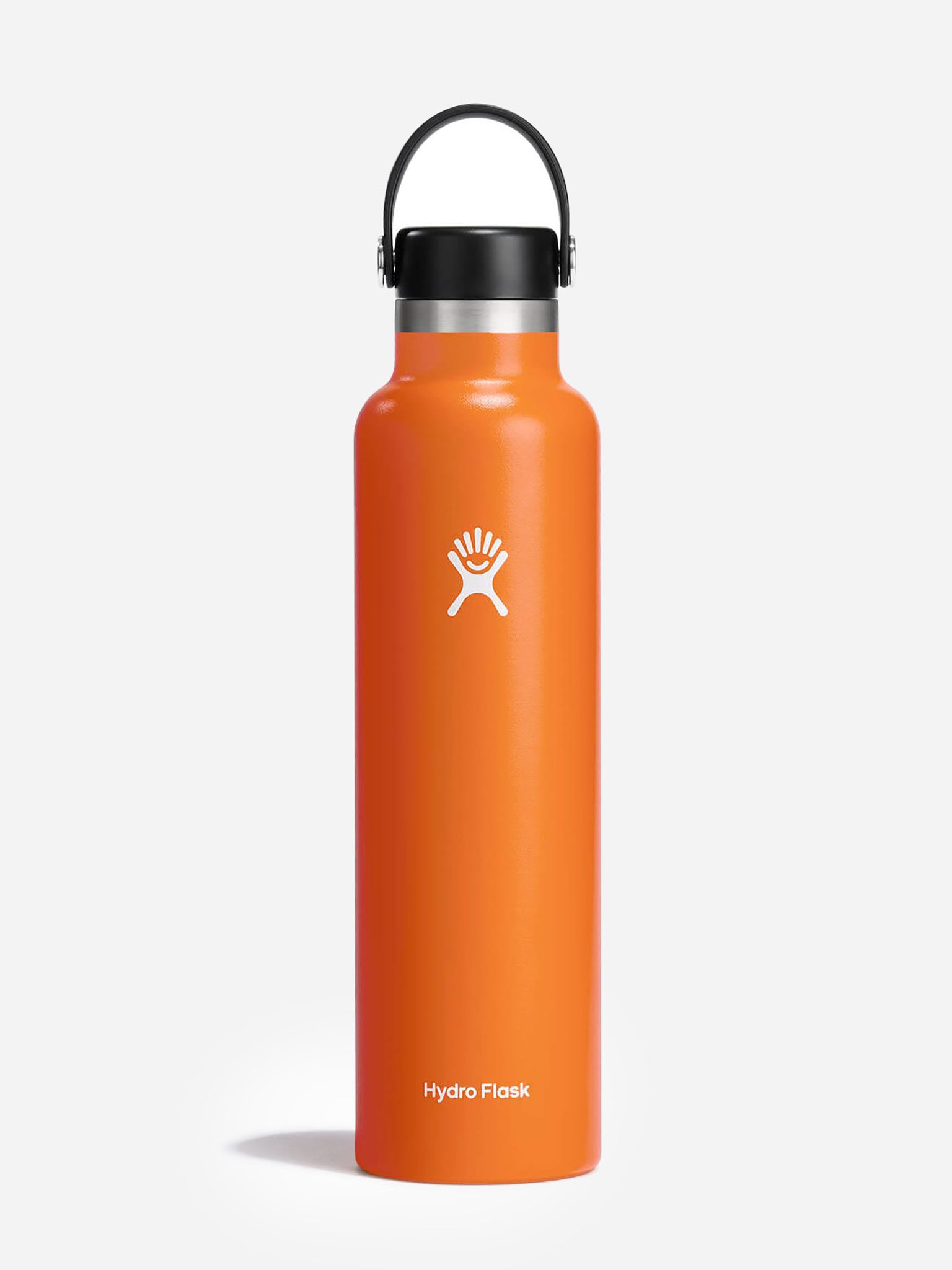 Hydroflask Standard Mouth 24oz Water Bottle - Saint Bernard