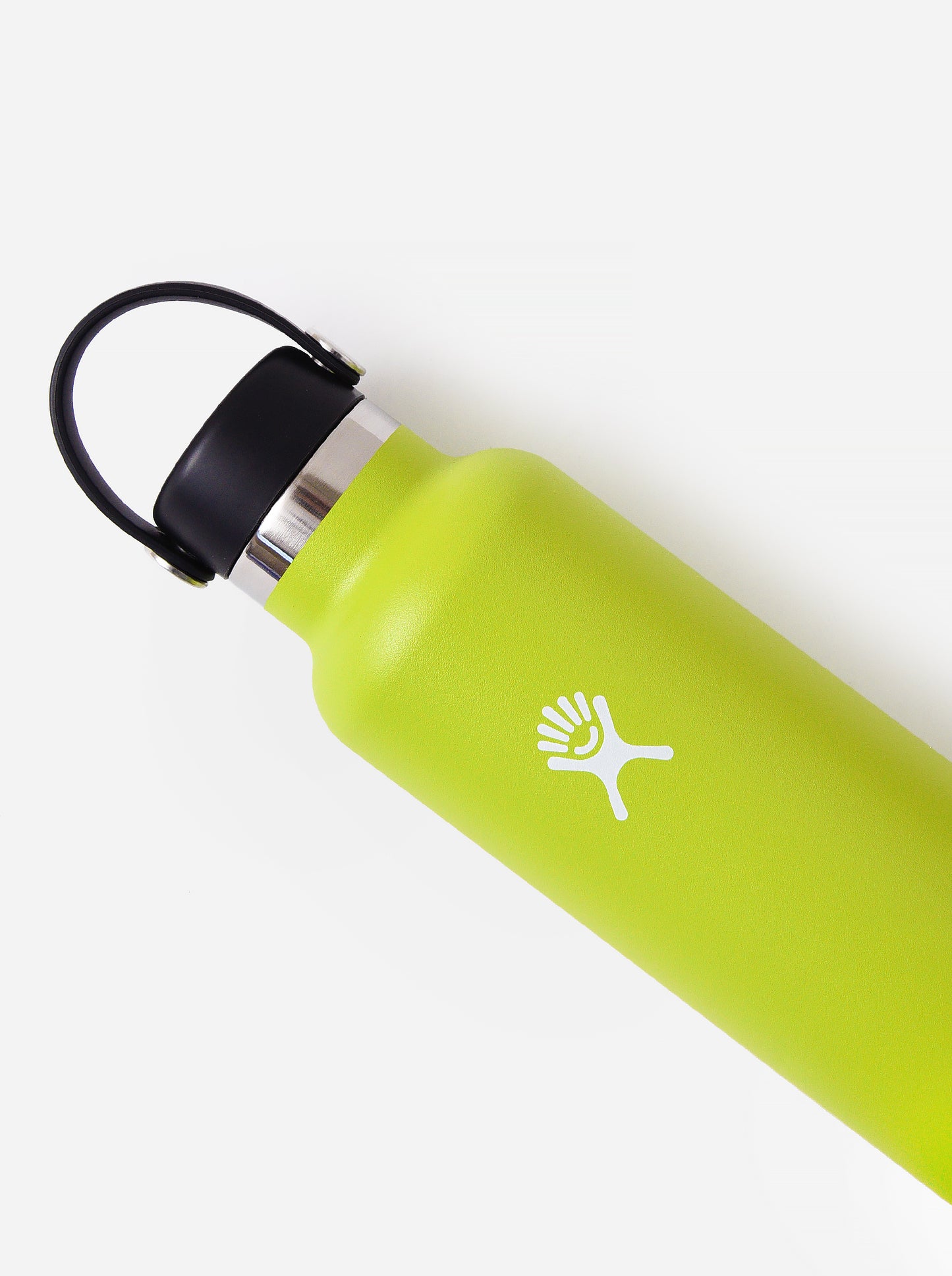 Hydroflask Standard Mouth 24oz Water Bottle - Saint Bernard
