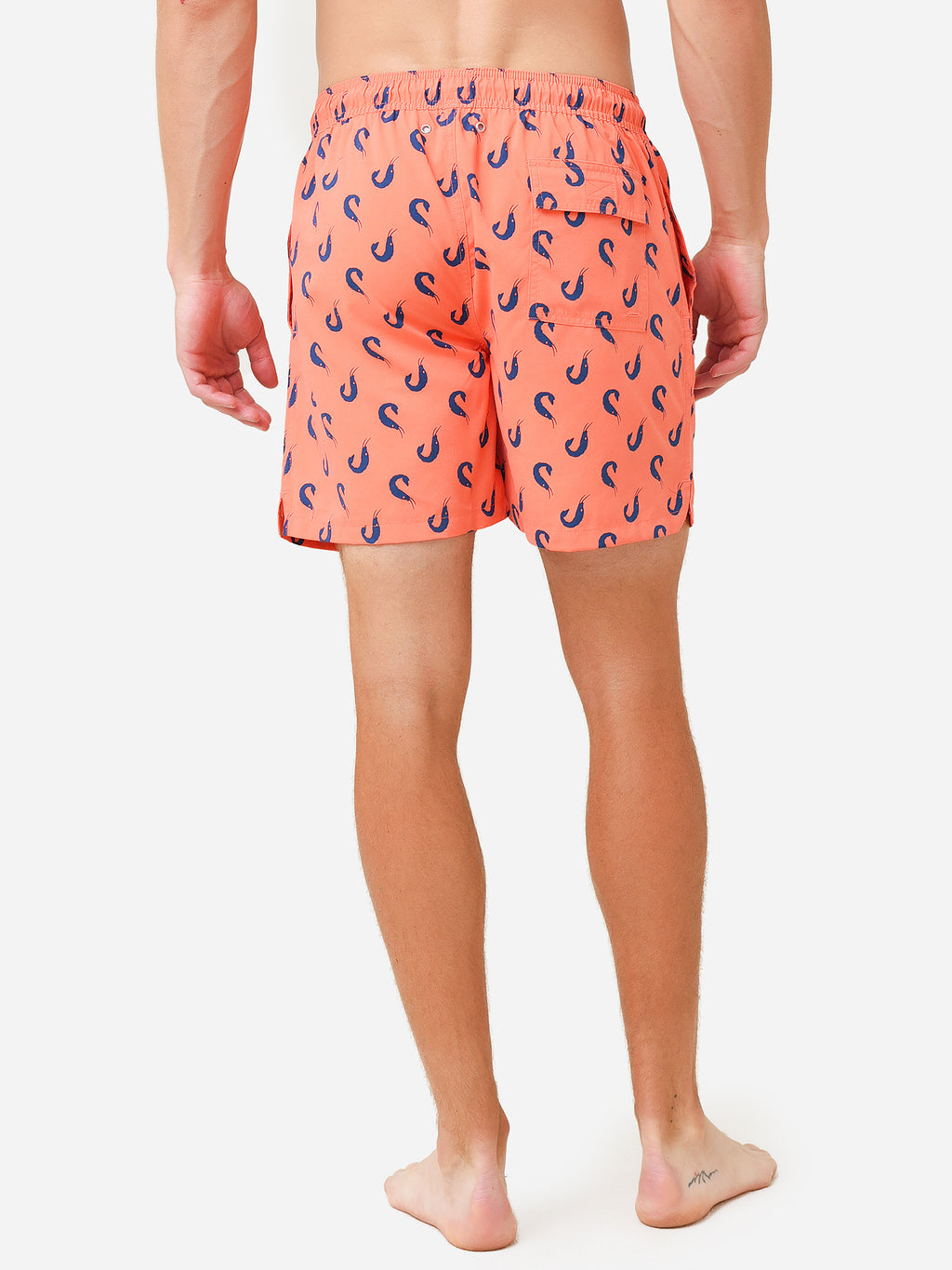 SHRIMPS MENxCORALBLUE-alt3
