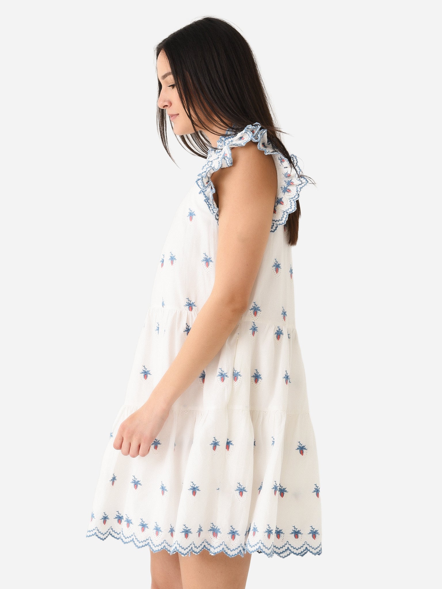 renee floral embroidered dress As It May Renee Floral Embroidered Maxi Dress