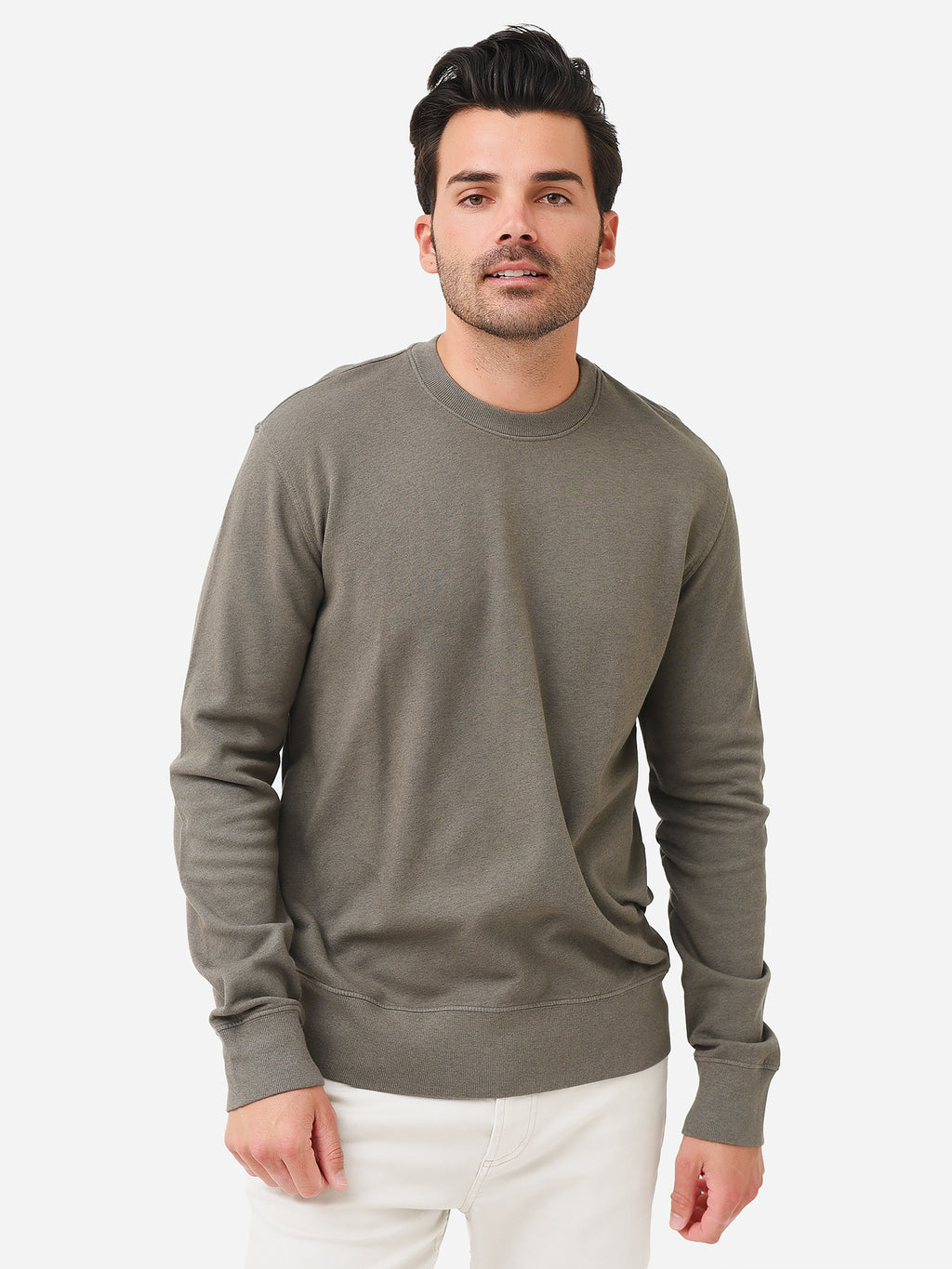Velvet Men's Stefan Sweatshirt - Saint Bernard