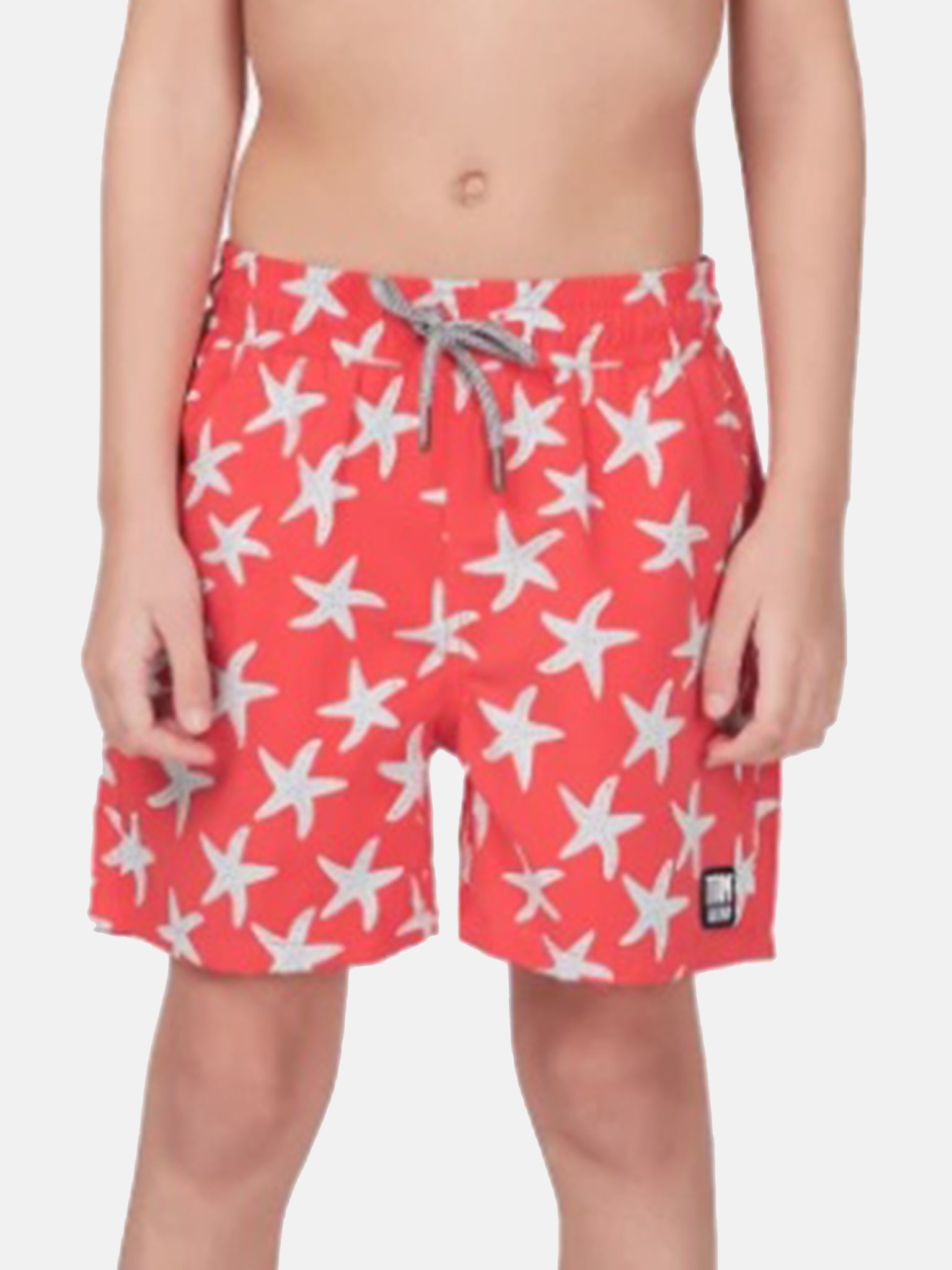 Tom & Teddy Boys' Starfish Swim Trunks - Saint Bernard