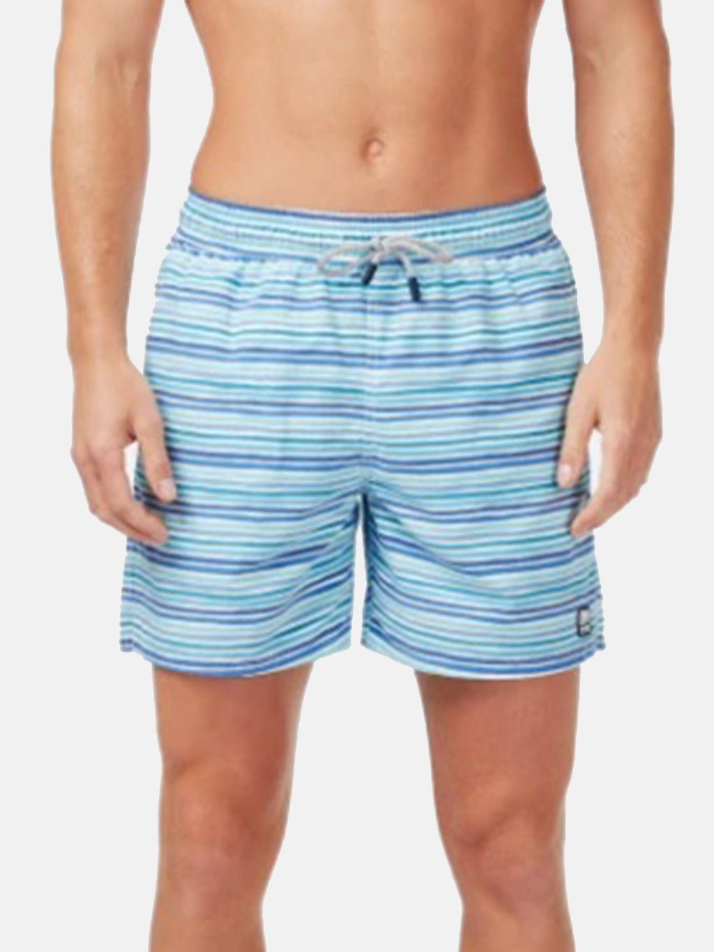 Tom & Teddy Men's Ocean Stripes Swim Trunk - Saint Bernard
