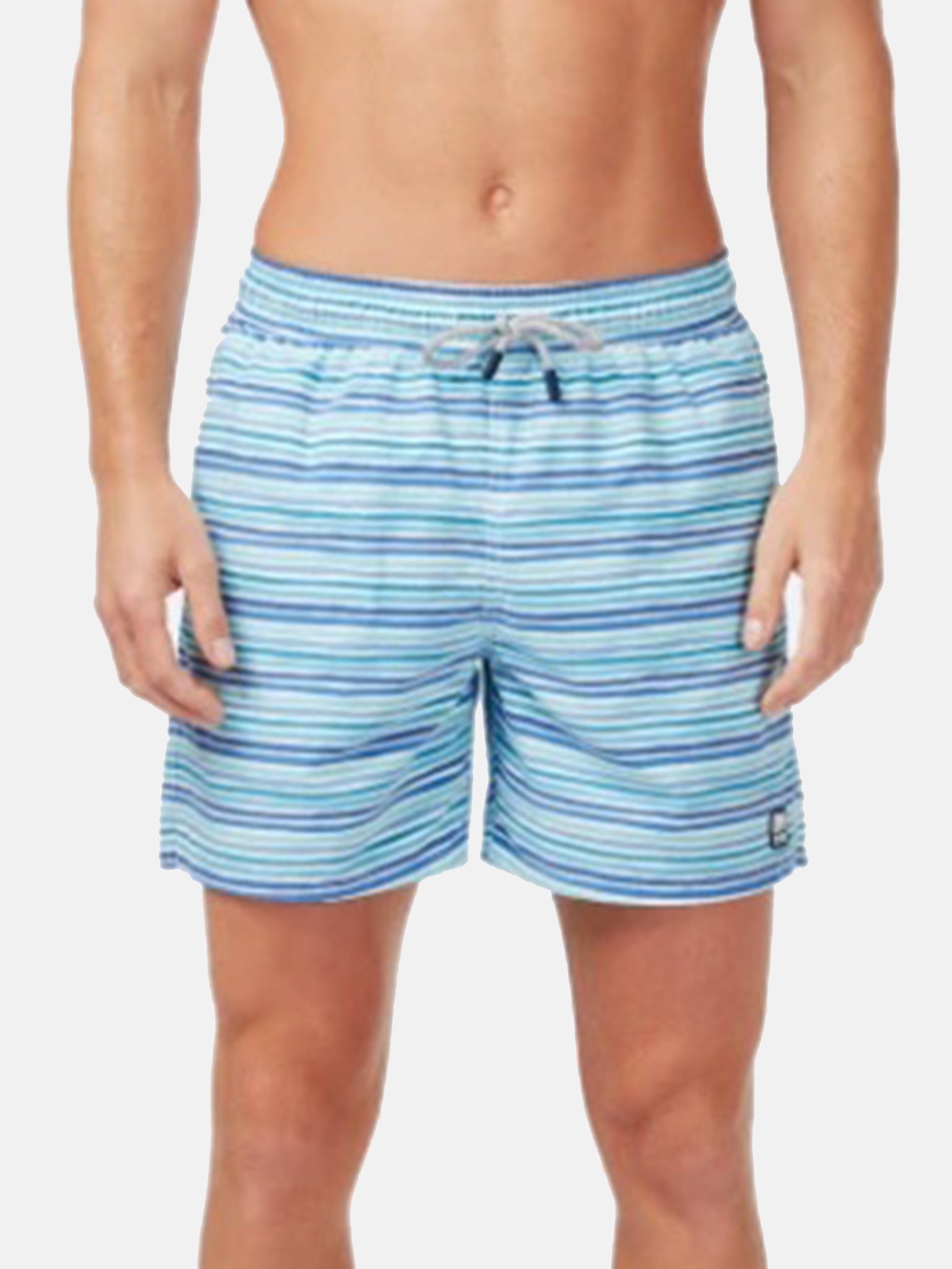 Tom & Teddy Men's Ocean Stripes Swim Trunk - Saint Bernard