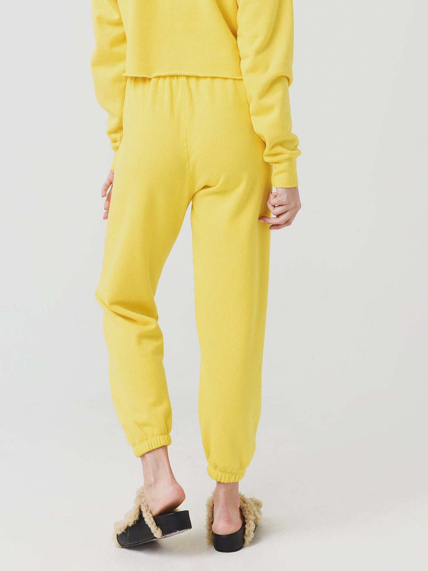 SWP203TRIBxCANARY-alt1