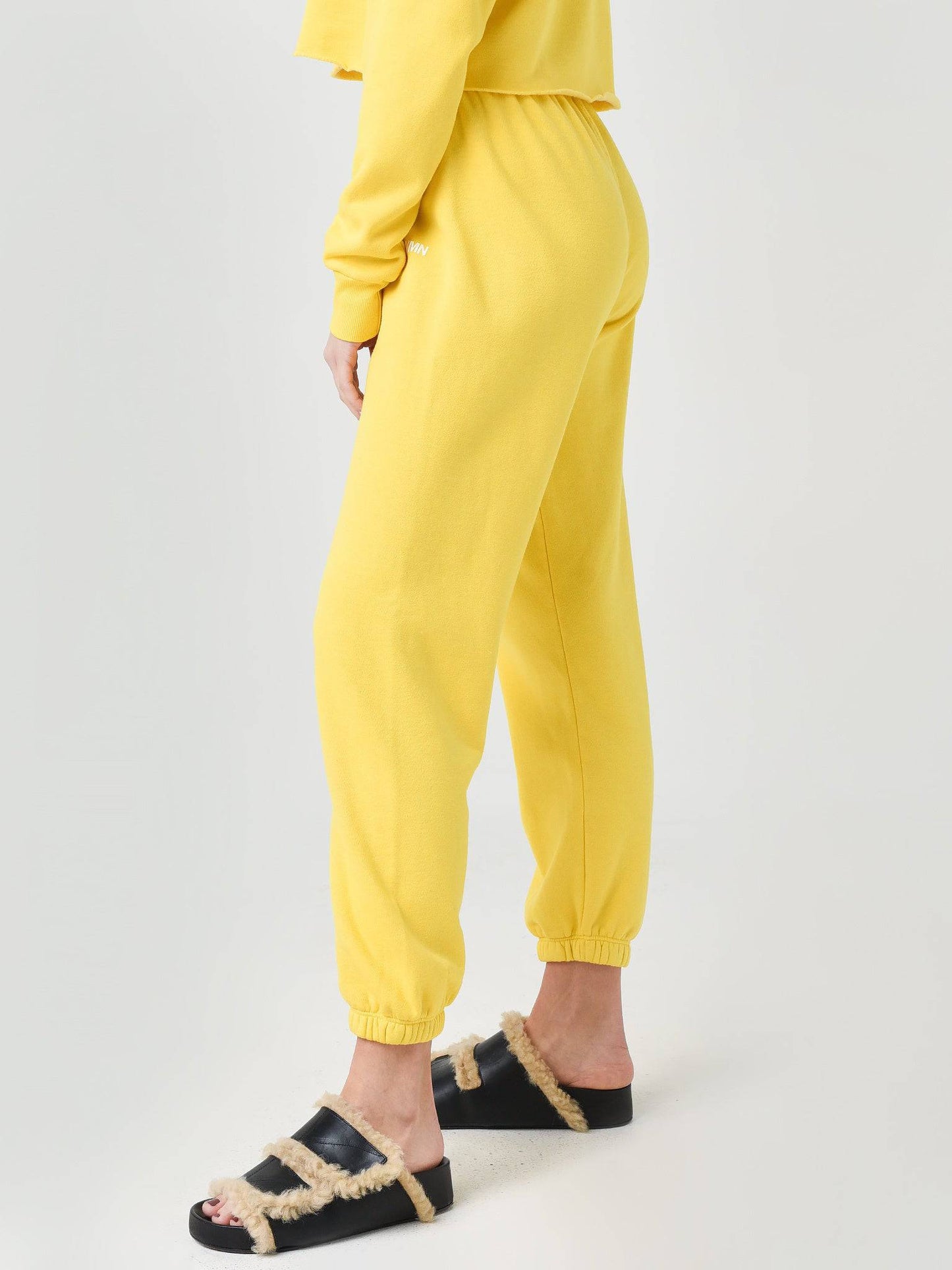 SWP203TRIBxCANARY-alt2