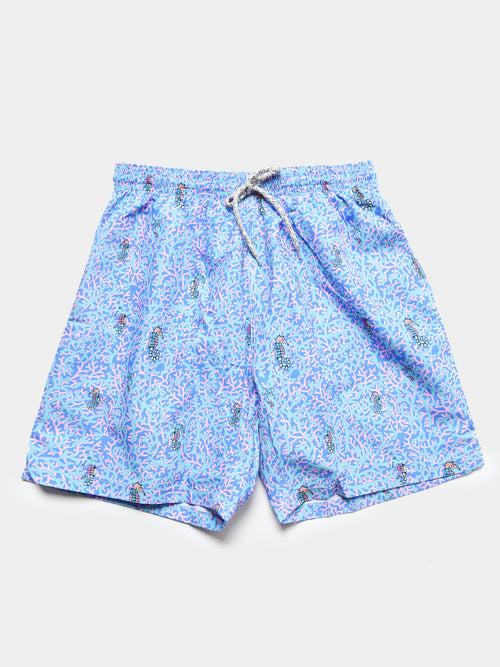Michaels Swimwear Men's Rainbow Seahorses Swim Trunk