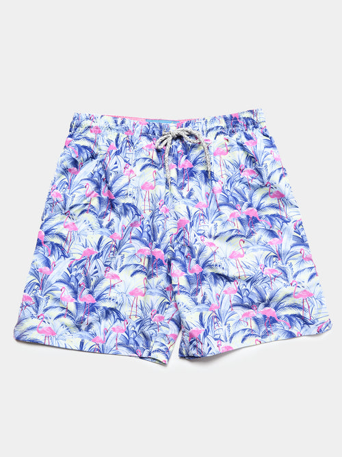 Michaels Swimswear Men's Flamingoes Swim Trunk