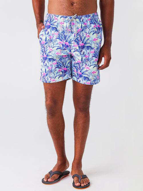 Michaels Swimwear Men's Flamingoes Swim Trunks