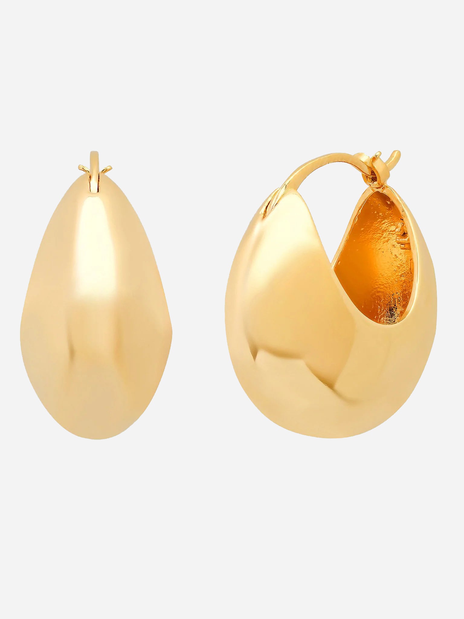 Tai Dome Huggie Earring - Saint Bernard