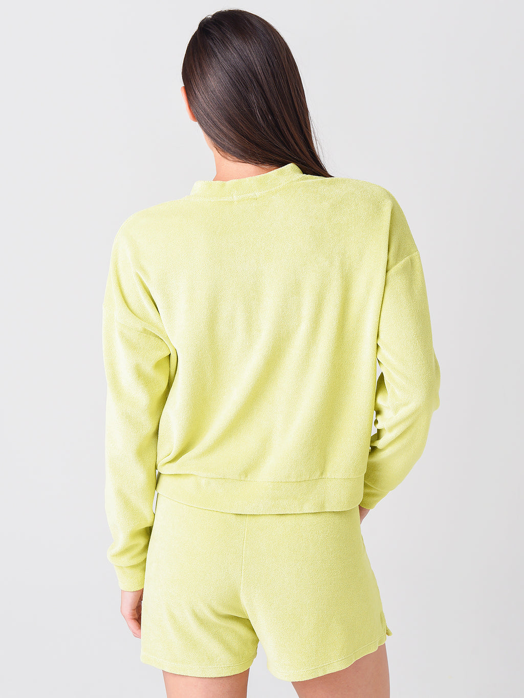 TERHENLS-S21SxLIME-alt3