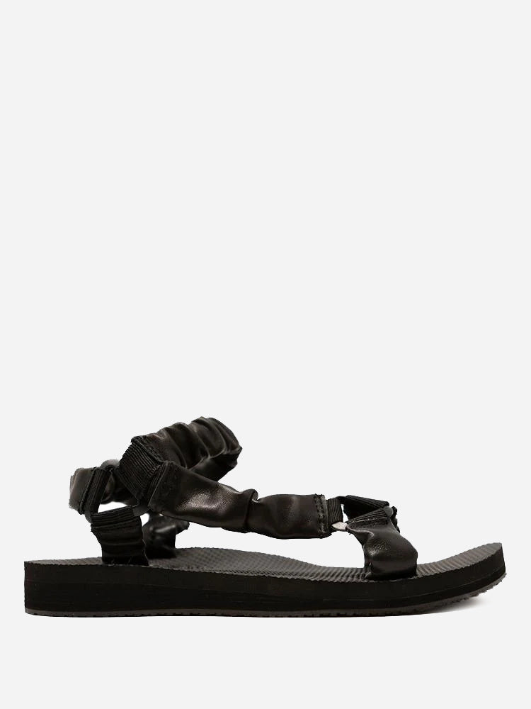 Arizona Love Trekky Fun - Saint Bernard