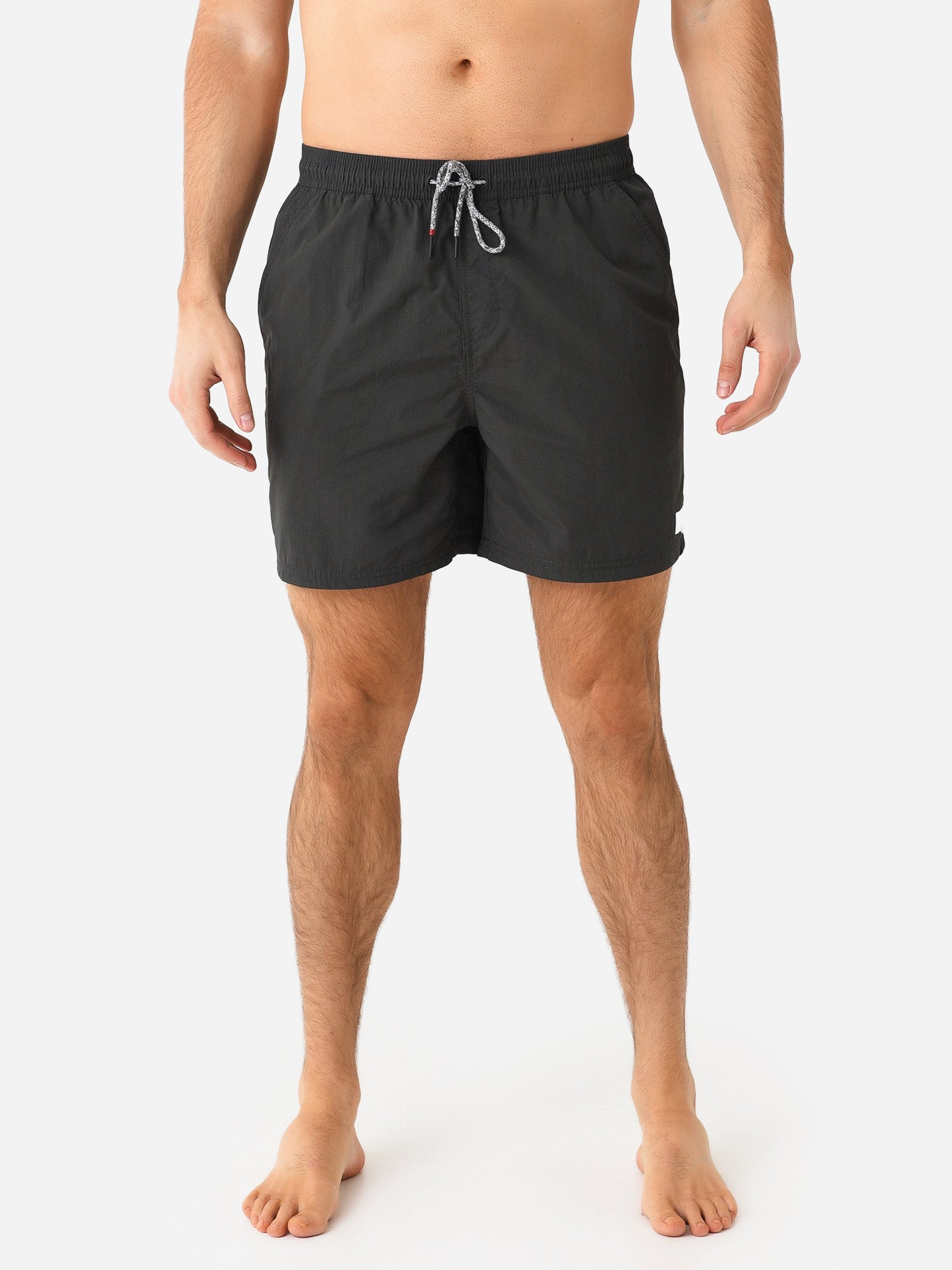 Katin Men's Poolside Volley Swim Trunk - Saint Bernard