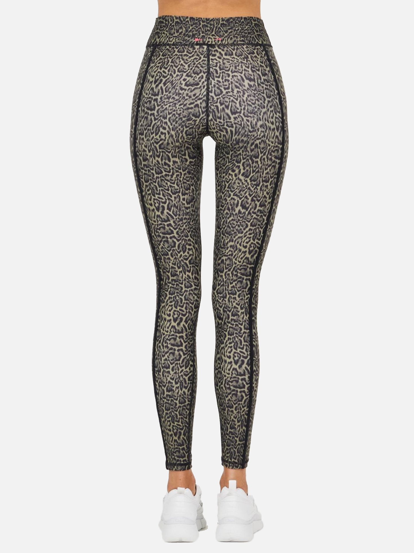 USW420032xANIMAL-alt1