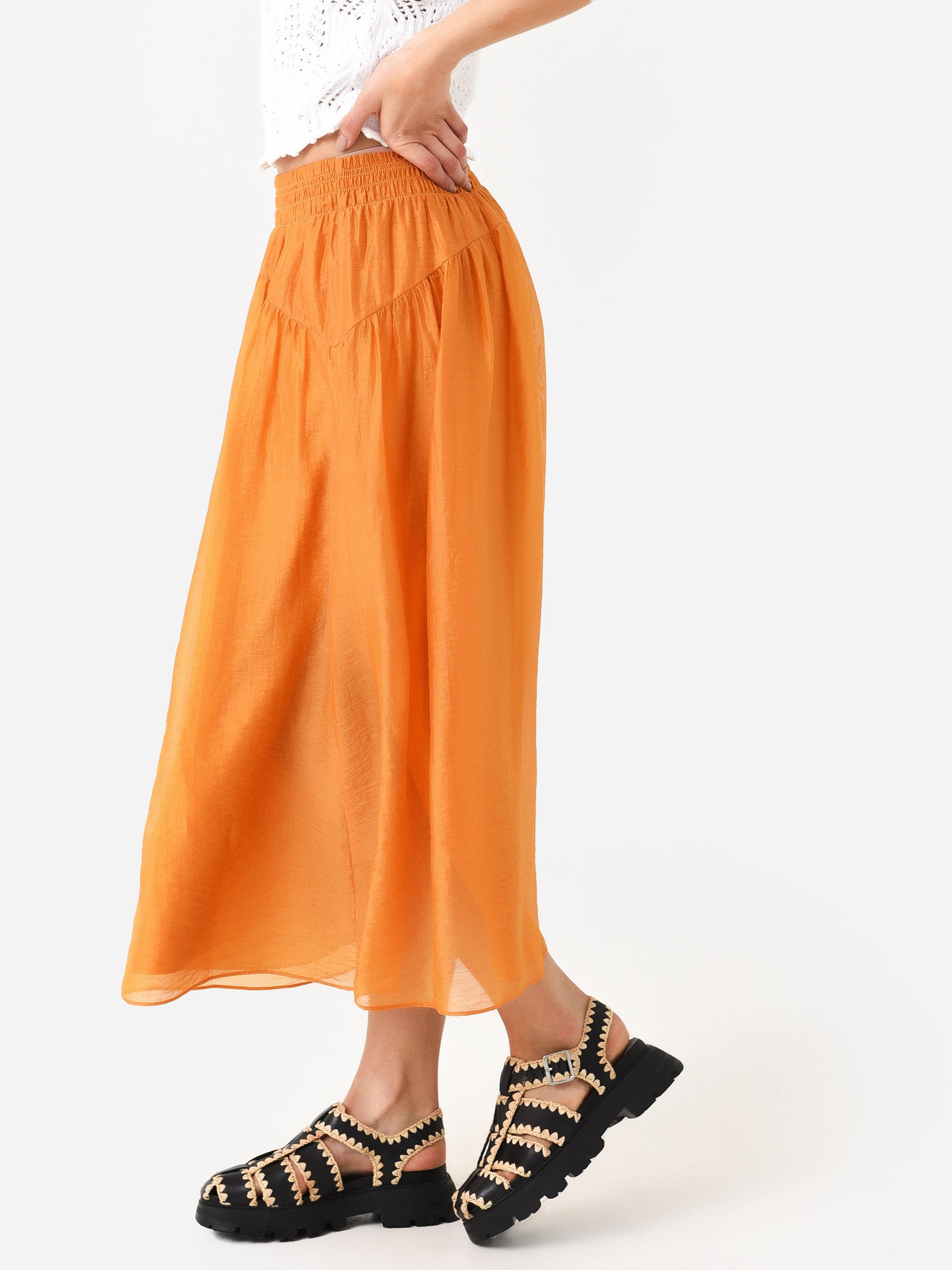 V937830847xMARIGOLD-alt2