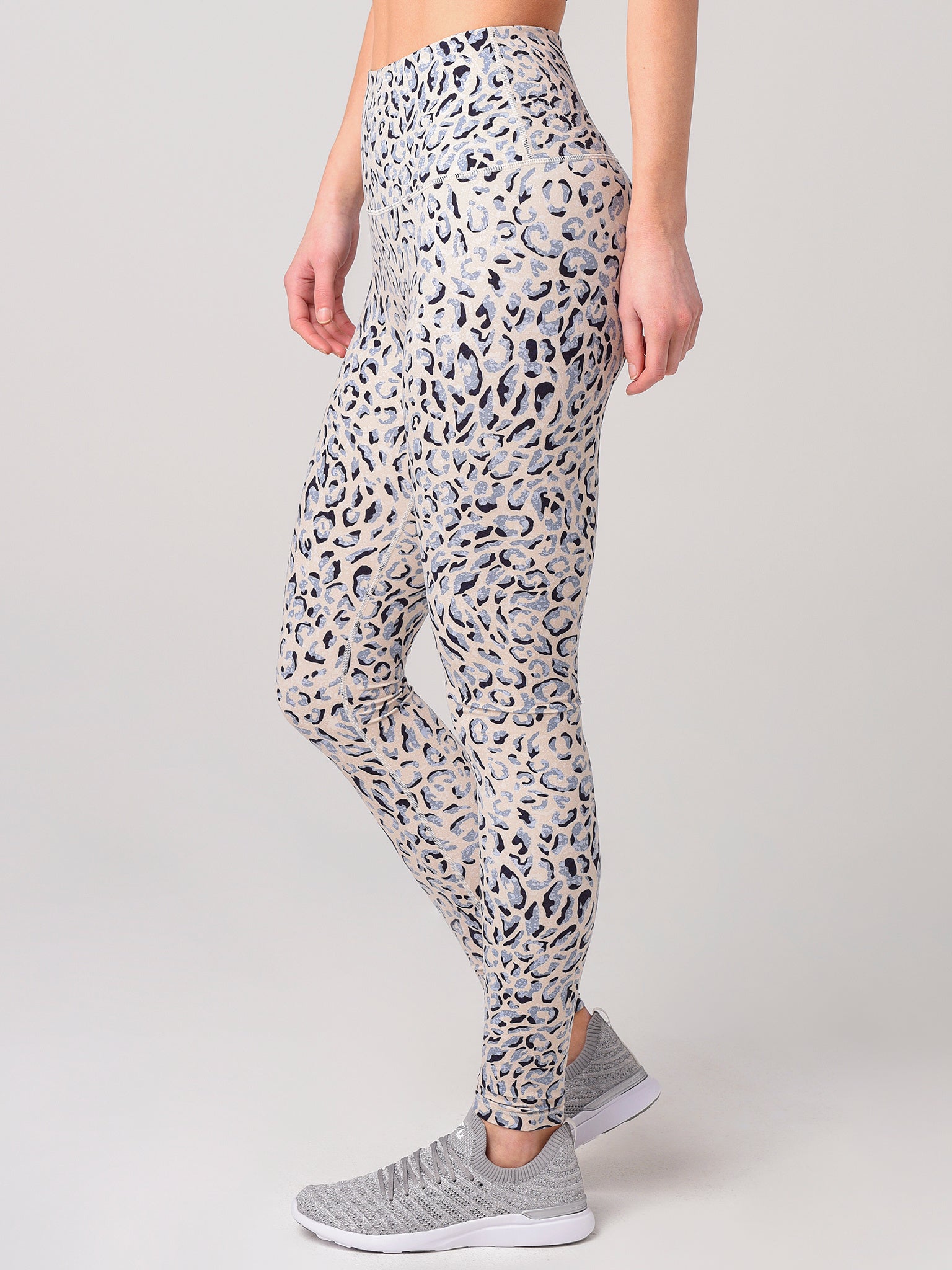 VAR00424xLEADCHEETAH-alt1