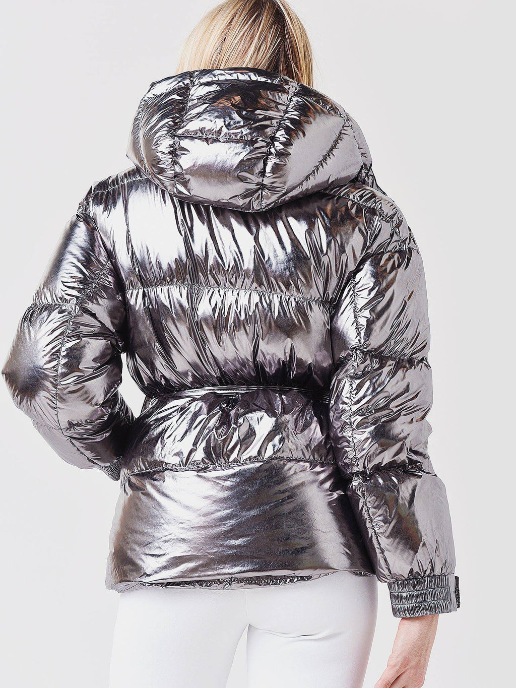 W30000161xSILVERHPFOIL-alt1